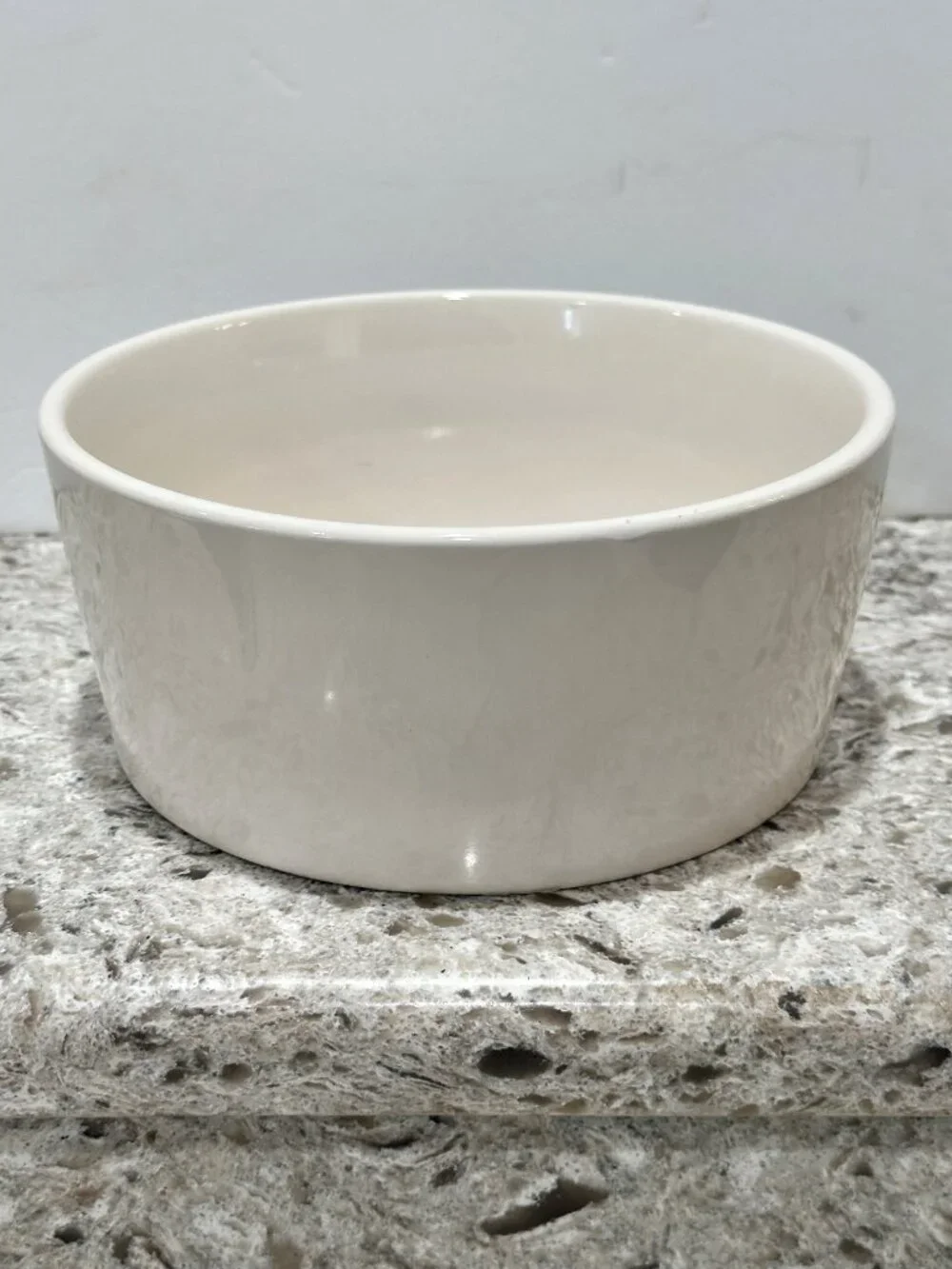 Rae Dunn by Magenta FEAST Dog Pet Food Water Bowl Artisan Collection 8 Inch XL